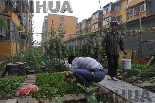 http://thaithavorn.com/uploadfile/2014/0714/20140714024832334.jpg