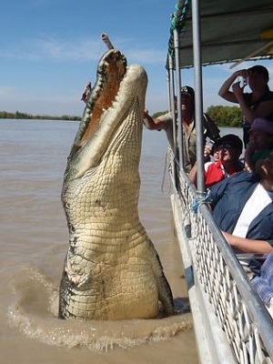 http://thaithavorn.com/uploadfile/2014/0819/20140819041818226.jpg