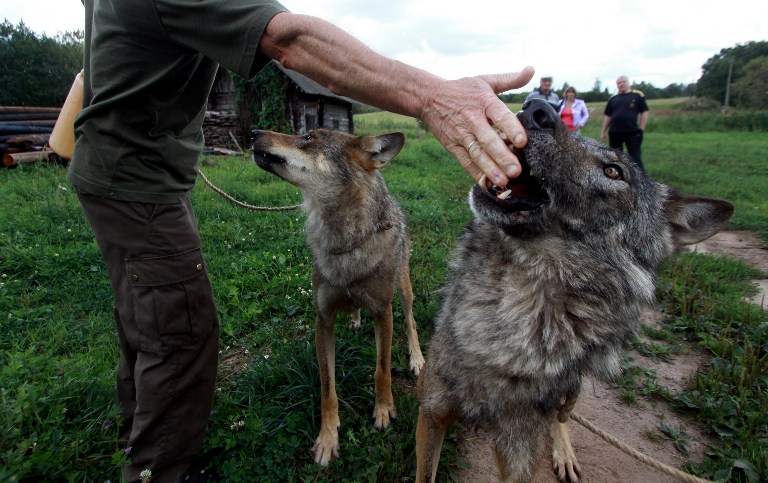 http://thaithavorn.com/uploadfile/2014/0819/20140819042219573.jpg