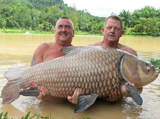 http://thaithavorn.com/uploadfile/2014/0821/20140821040628504.jpg
