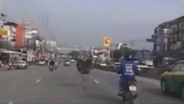 http://thaithavorn.com/uploadfile/2014/0904/20140904025142791.jpg