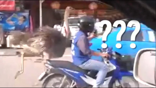 http://thaithavorn.com/uploadfile/2014/0904/20140904025223309.jpg