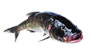 http://thaithavorn.com/uploadfile/2014/0922/20140922102154163.jpg