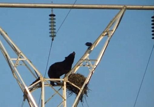 http://thaithavorn.com/uploadfile/2015/0525/20150525035747479.jpg
