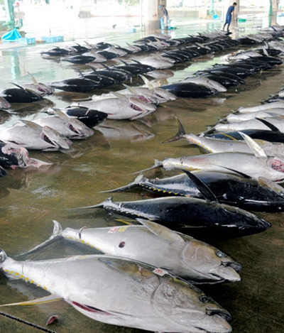 http://thaithavorn.com/uploadfile/2015/0627/20150627104115607.jpg