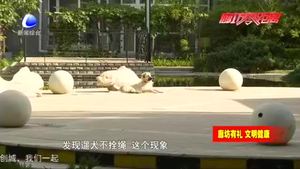 我市開(kāi)展“文明養(yǎng)犬、愛(ài)護(hù)環(huán)境”行動(dòng)  加強(qiáng)養(yǎng)犬管理提升城市形象
