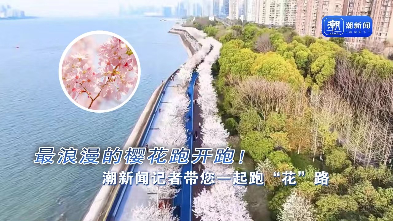 最浪漫的櫻花跑開跑！潮新聞記者帶您一起跑“花”路